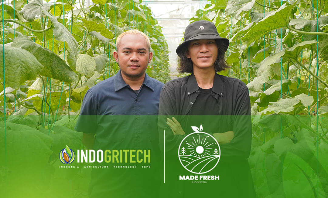 Madefresh Hadir di IndoGriTech Expo 2025: Bukti Nyata Transformasi Pertanian Modern di Indonesia